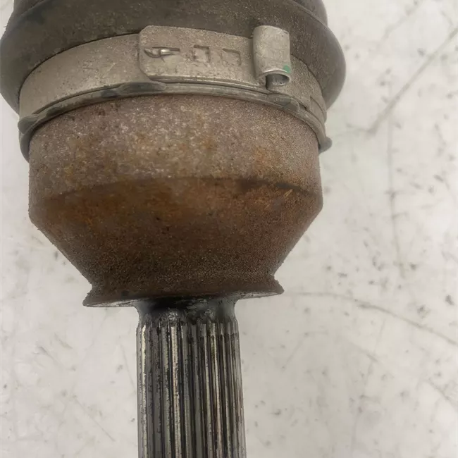 Semialbero posteriore completo sinistro