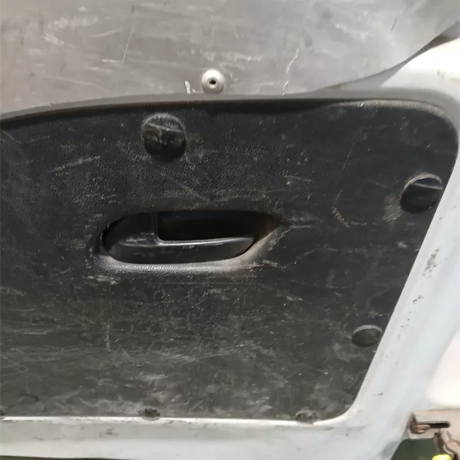 Porta carico posteriore a battente sinistra Lamierata