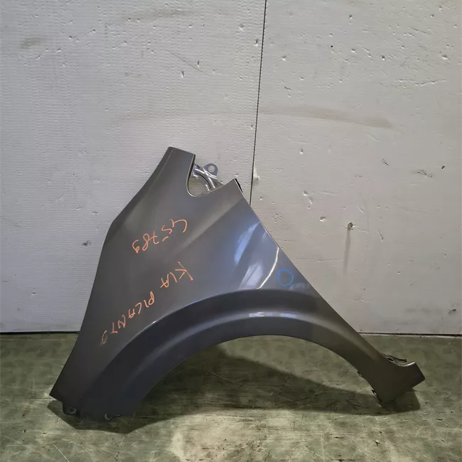 Parafango anteriore sinistro