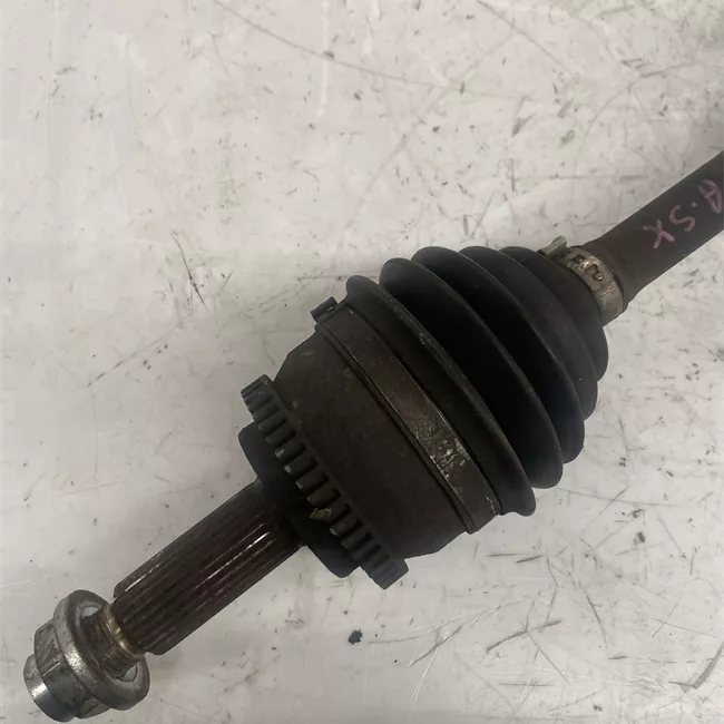 Semialbero anteriore completo sinistro