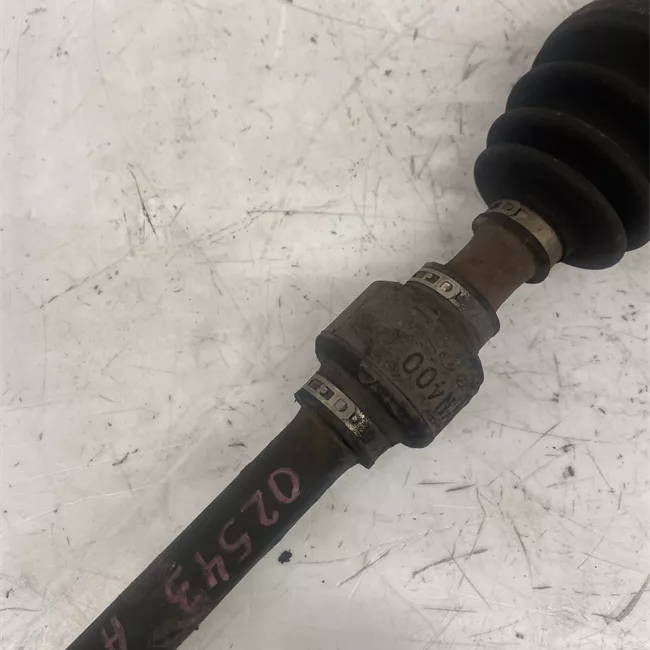 Semialbero anteriore completo sinistro