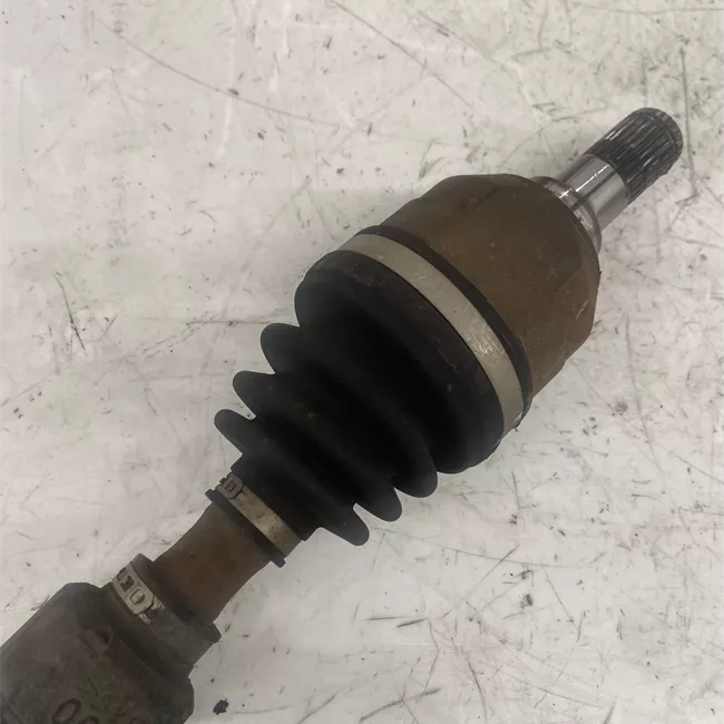 Semialbero anteriore completo sinistro