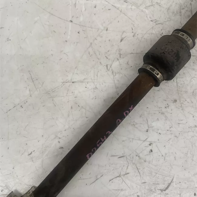 Semialbero anteriore completo destro