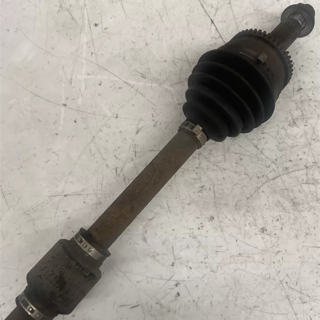 Semialbero anteriore completo destro