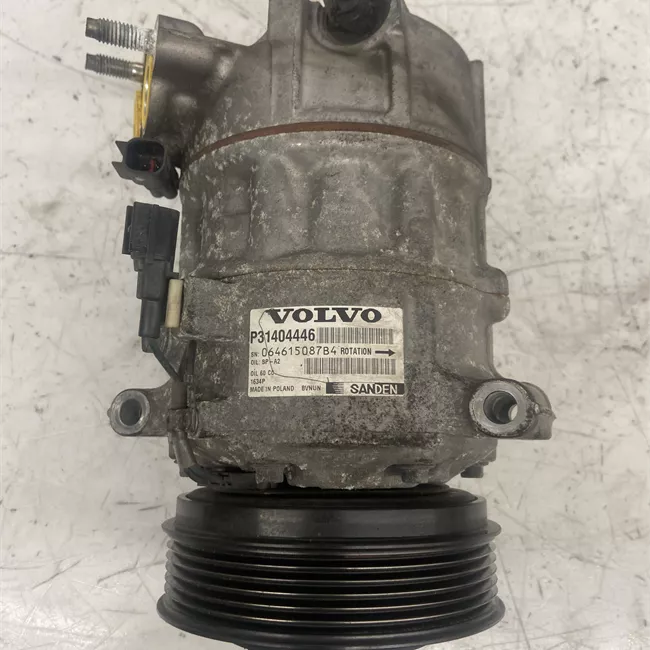 Compressore aria condizionata rotazionale