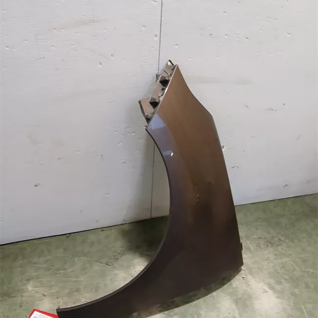 Parafango anteriore sinistro