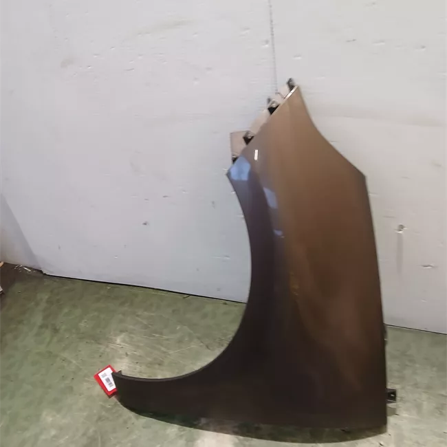 Parafango anteriore sinistro