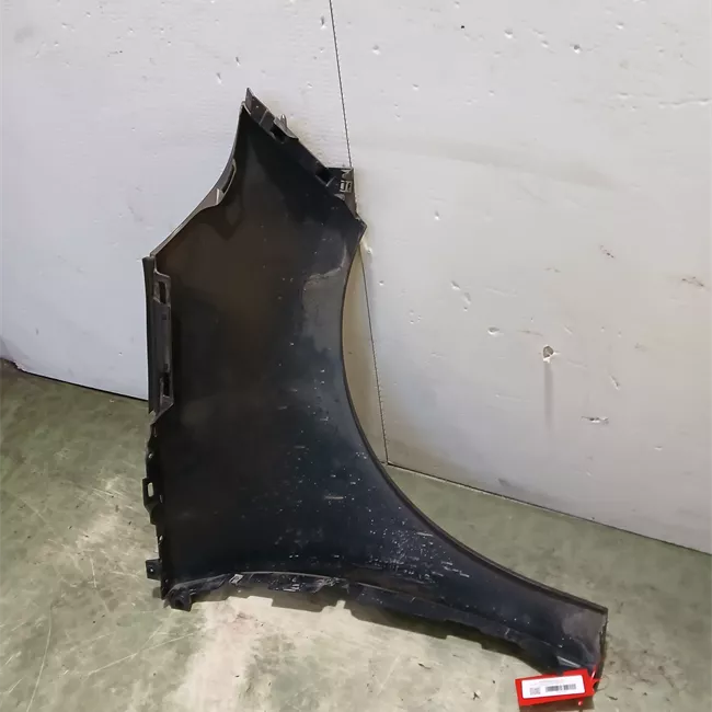 Parafango anteriore sinistro