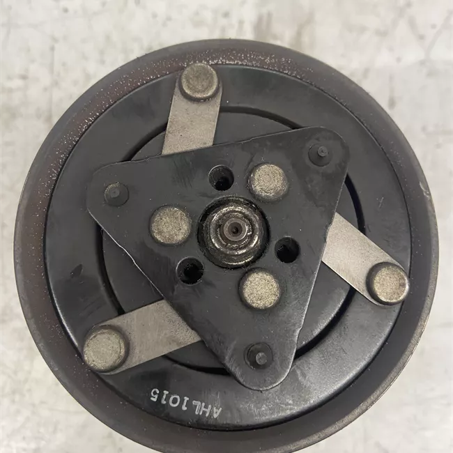 Compressore aria condizionata liq.refr. R134