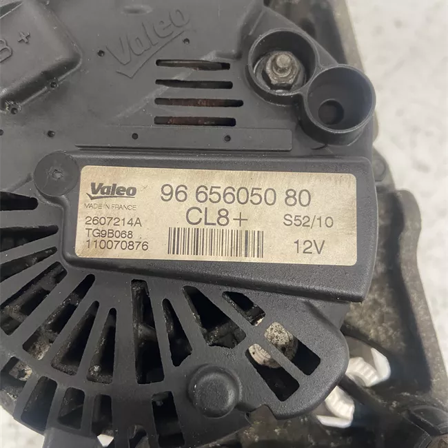 Alternatore rotazionale