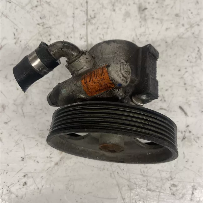 Pompa servosterzo con puleggia