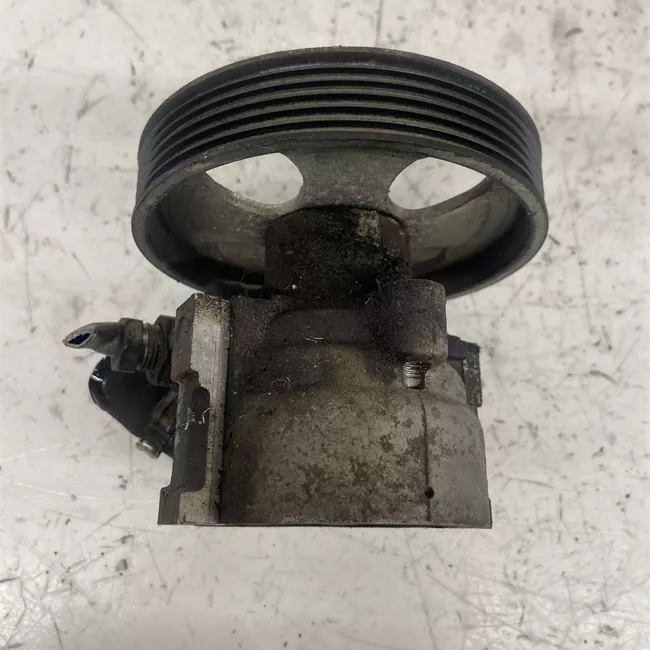 Pompa servosterzo con puleggia