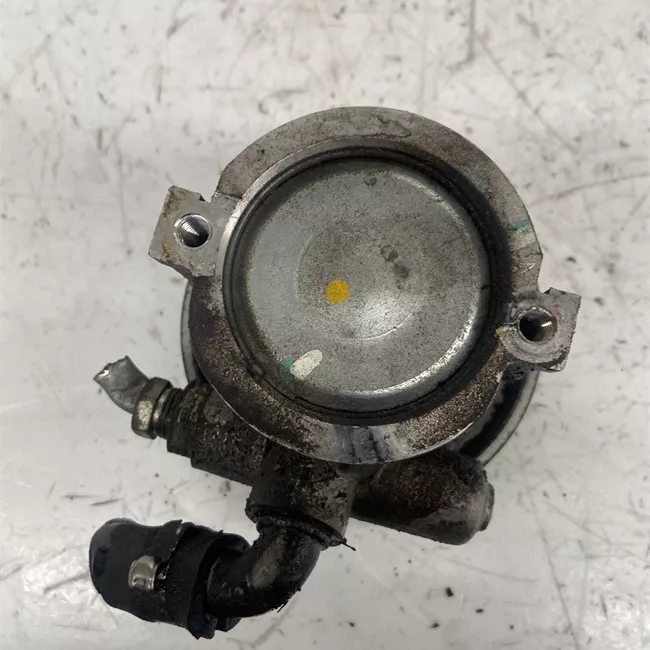 Pompa servosterzo con puleggia