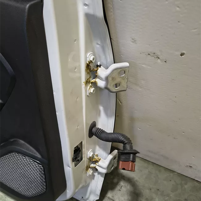 Porta posteriore sinistra