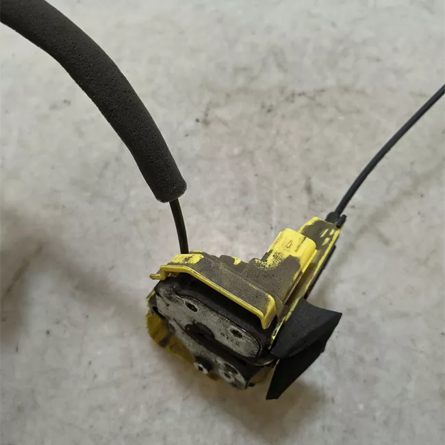 Serratura porta posteriore sinistra