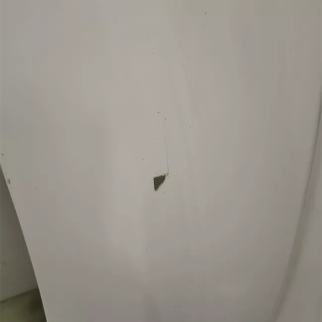 Parafango anteriore sinistro