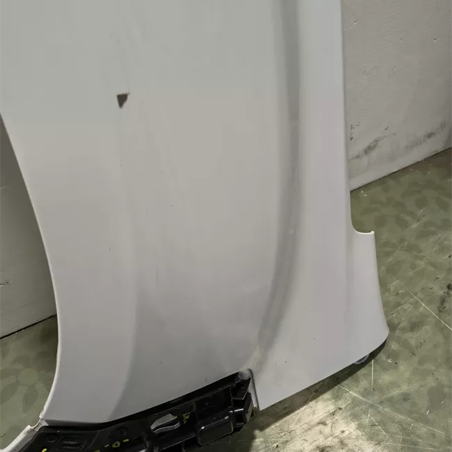 Parafango anteriore sinistro