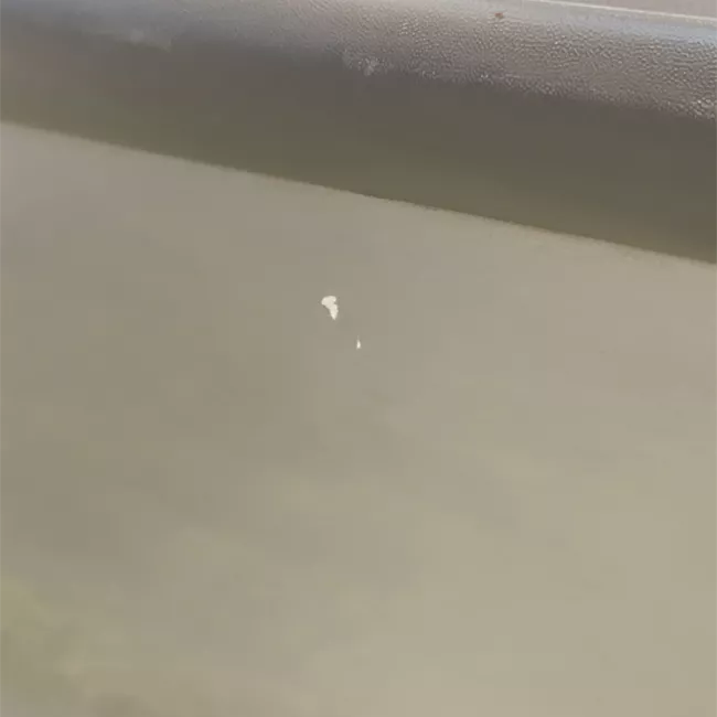 Pannello esterno porta anteriore destro