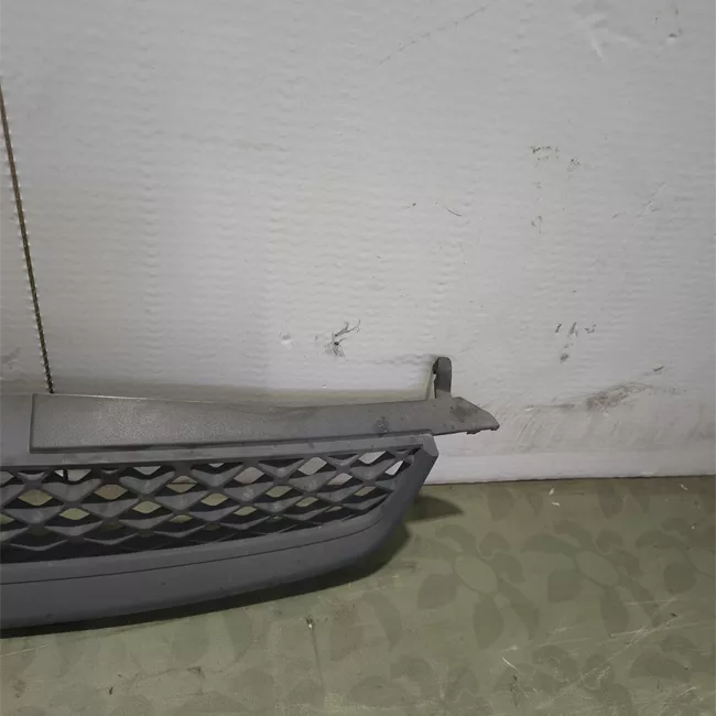 Griglia paraurti anteriore