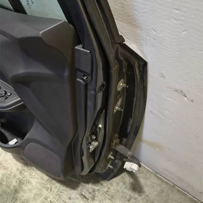 Porta anteriore sinistra