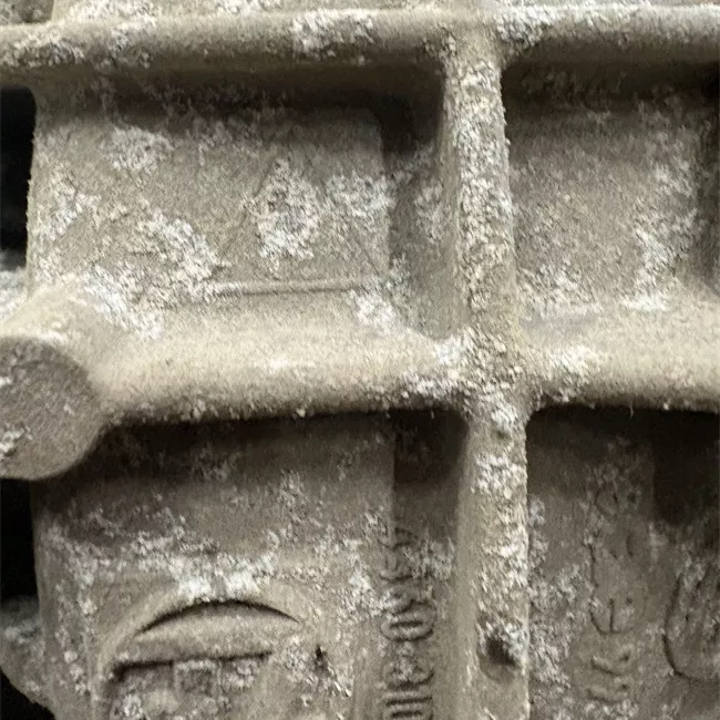 Differenziale posteriore completo