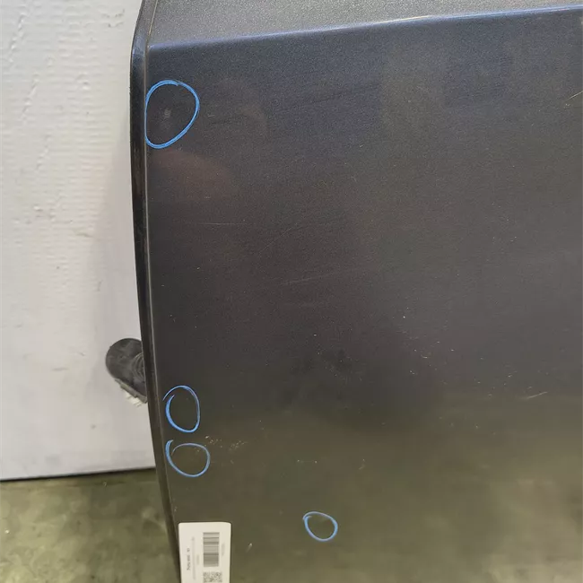 Porta posteriore sinistra