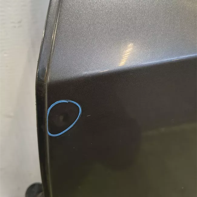 Porta posteriore sinistra