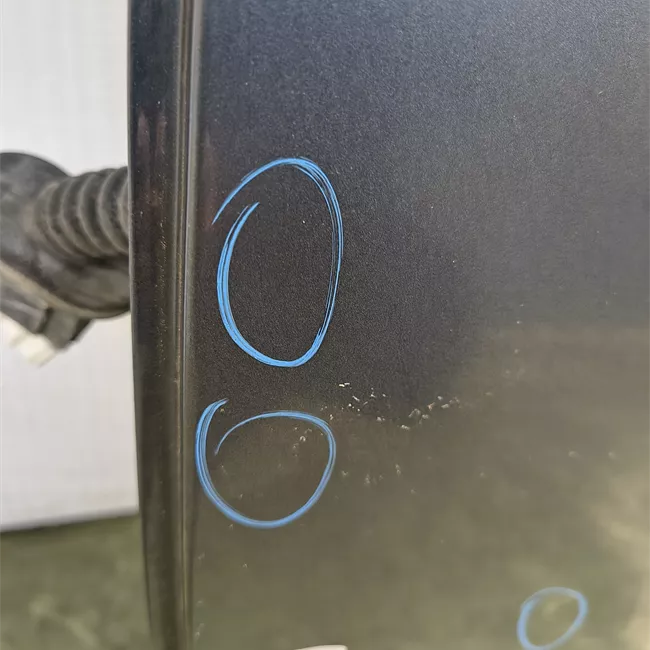 Porta posteriore sinistra