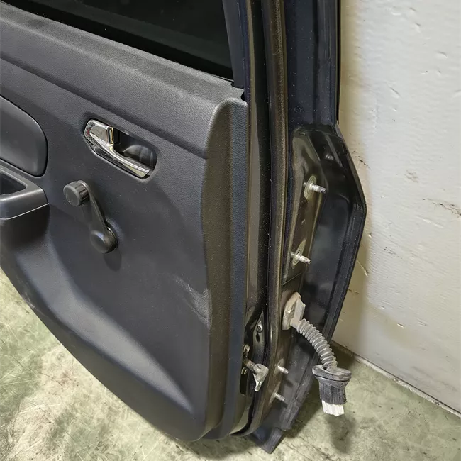 Porta posteriore sinistra