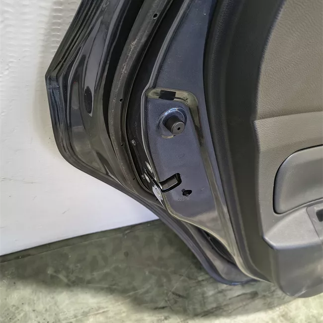 Porta posteriore sinistra