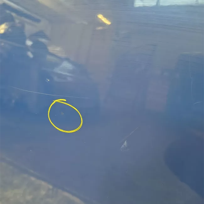 Porta posteriore sinistra con finestrino