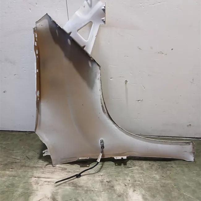 Parafango anteriore sinistro