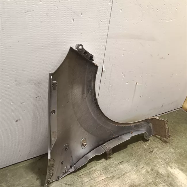 Parafango anteriore sinistro