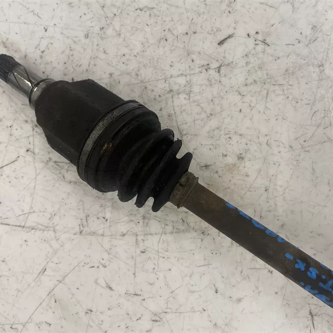 Semialbero anteriore completo sinistro