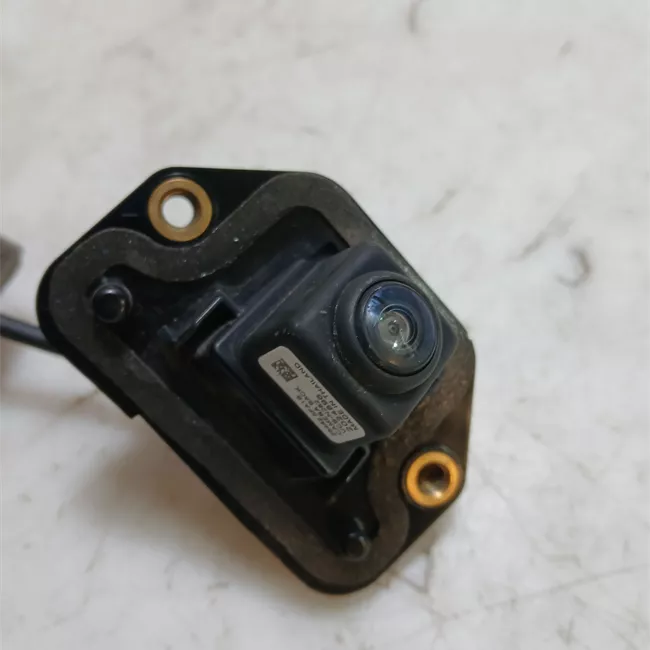 Telecamera posteriore