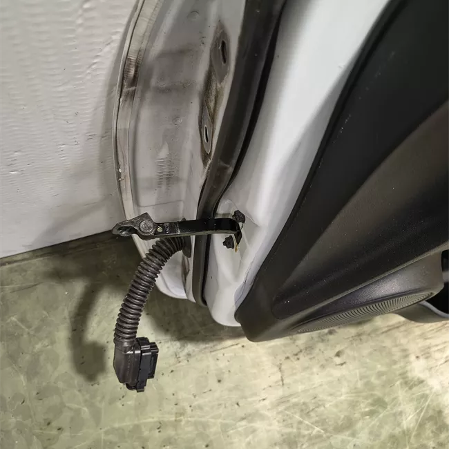 Porta anteriore destra