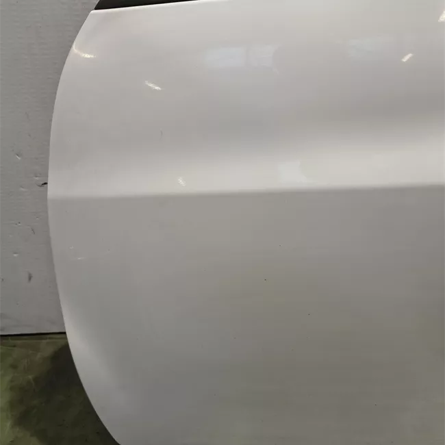 Porta anteriore sinistra