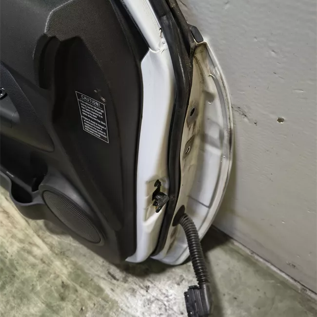 Porta anteriore sinistra