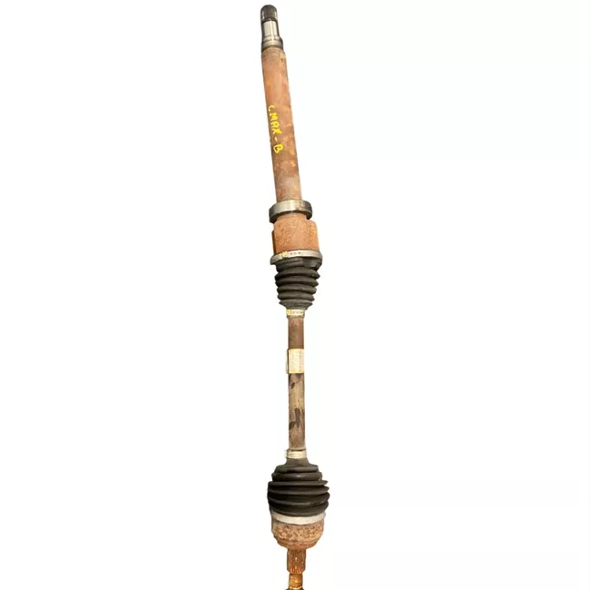 Semialbero anteriore completo destro