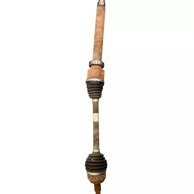 Semialbero anteriore completo destro