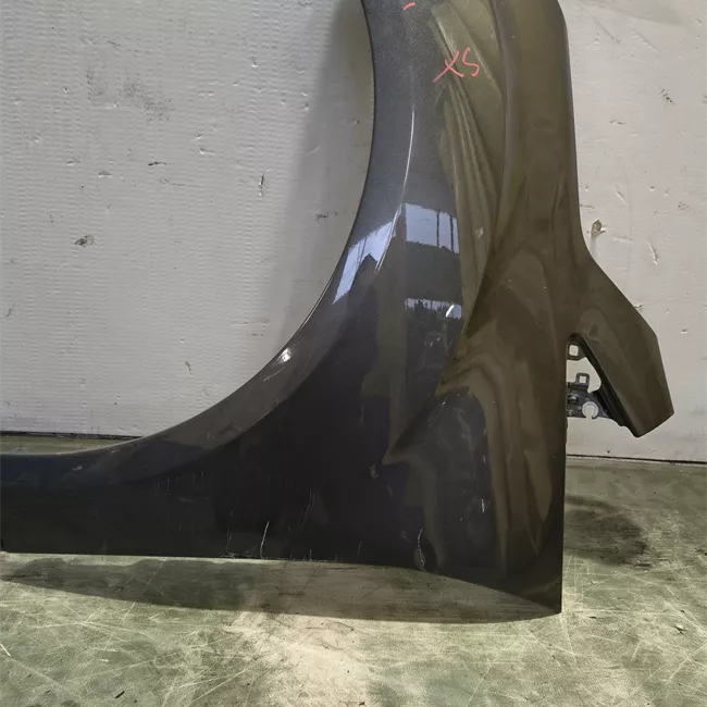 Parafango anteriore sinistro