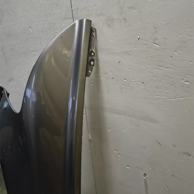 Parafango anteriore sinistro