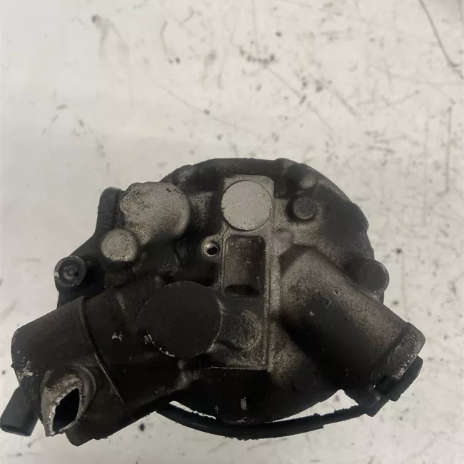 Compressore aria condizionata Sanden, rotazionale