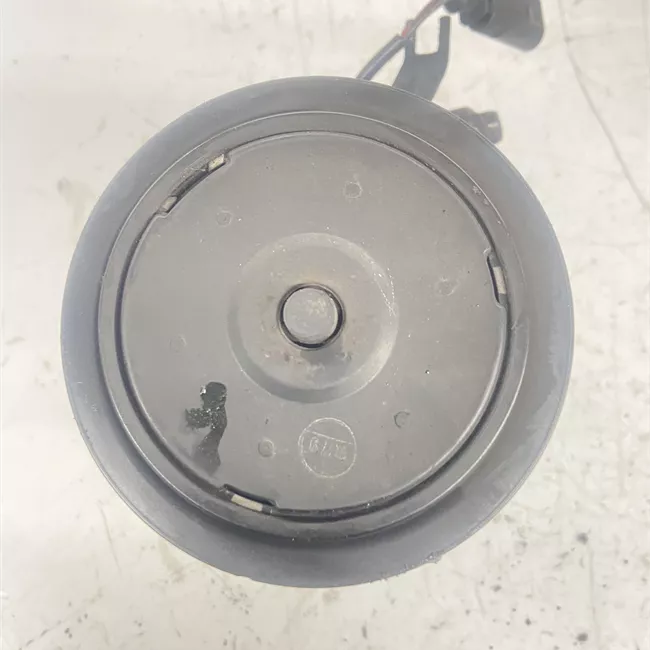 Compressore aria condizionata Sanden, rotazionale