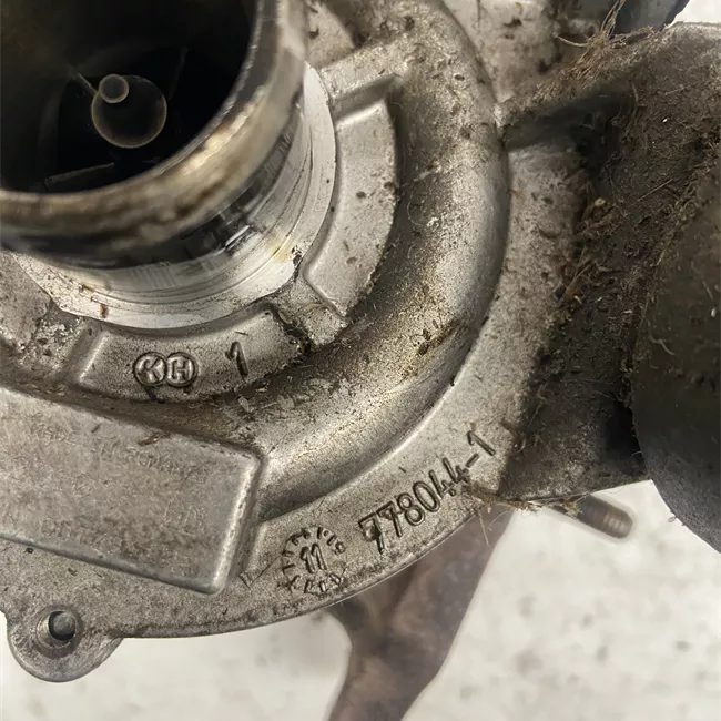 Turbocompressore rotazionale