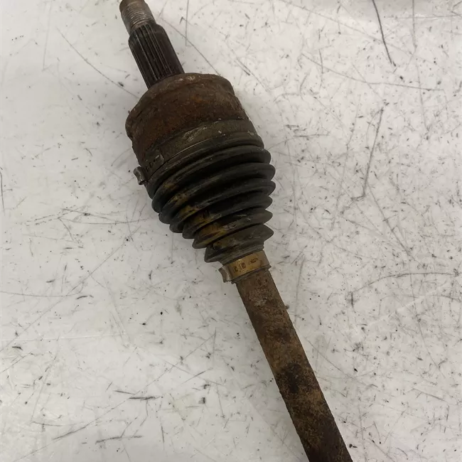 Semialbero anteriore completo sinistro