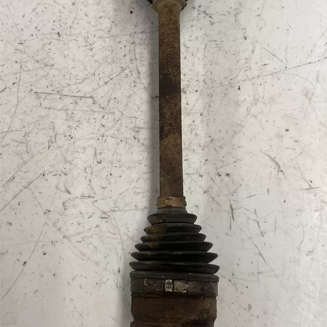 Semialbero anteriore completo sinistro