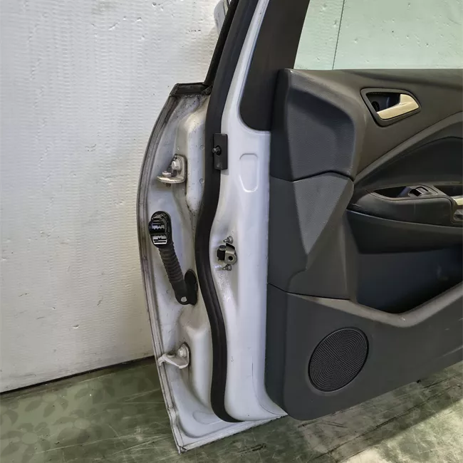 Porta anteriore destra