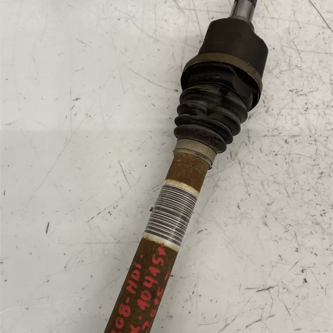 Semialbero anteriore completo sinistro