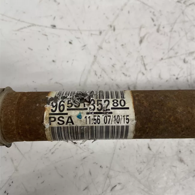 Semialbero anteriore completo sinistro